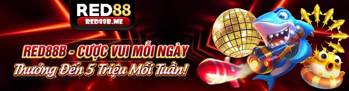 Hình ảnh minh họa Điều Khoản Dịch Vụ của h88 app
